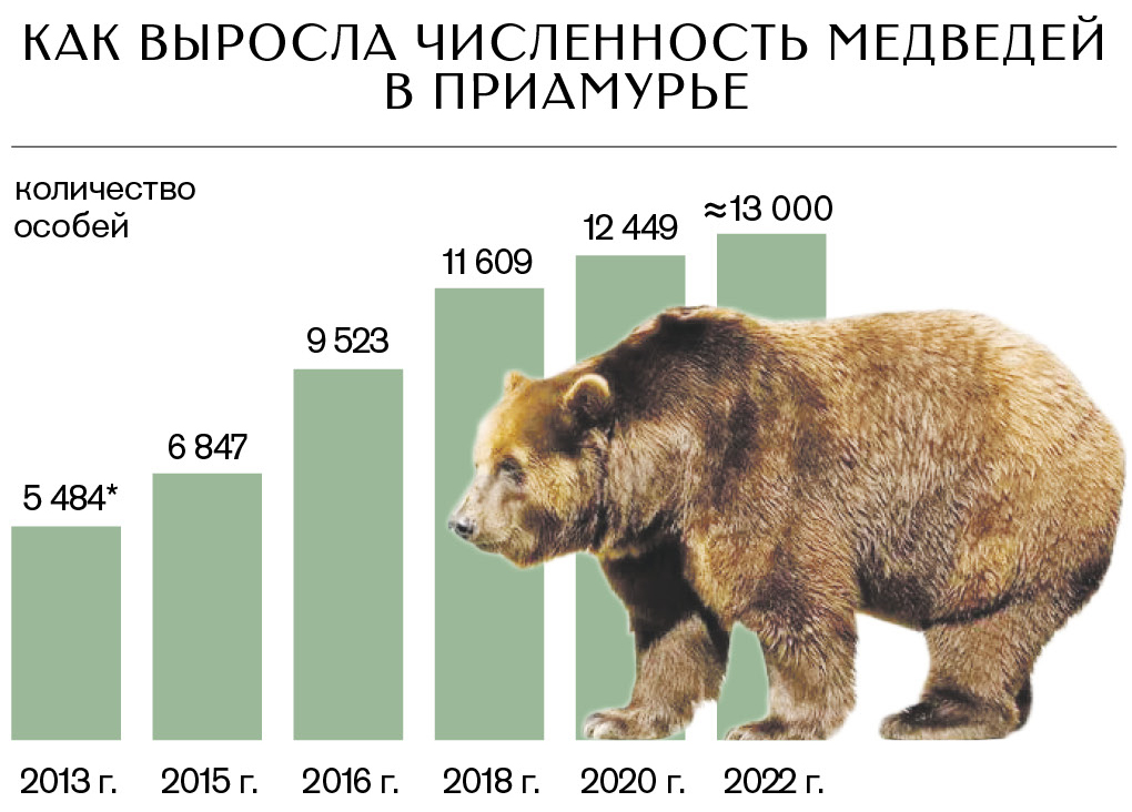 Как вести себя при встрече с медведем